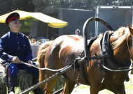 V III  Межрегиональный фестиваль "Поет гармонь над Битюгом"