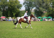 Межрегиональный фестиваль традиционной казачьей культуры "Казачья застава"