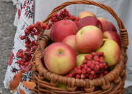 областной литературный фестиваль "Бунинская деревня"