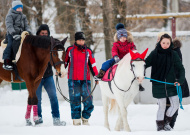 Прокат картингов на Тамбовском ипподроме