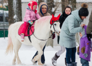 Прокат картингов на Тамбовском ипподроме
